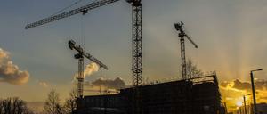 Ein Bild, das seltener wird: Baukräne in Berlin.