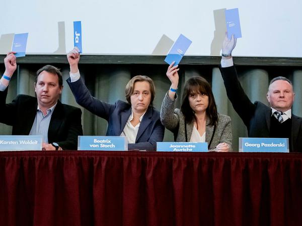 Während Jeannette Auricht (2.v.r.) dem Notvorstand angehört, sind Karsten Woldeit (l.), Beatrix von Storch und Georg Pazderski aus der Spitze ausgeschieden.