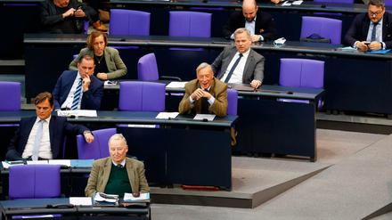 Die AfD-Fraktion im Parlament.