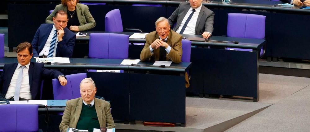 Die AfD-Fraktion im Parlament.