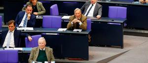 Die AfD-Fraktion im Parlament.
