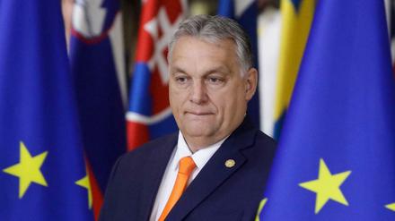 Freiheitskämpfer. Viktor Orbán profitiert auch von Kritik aus der EU-Kommission.