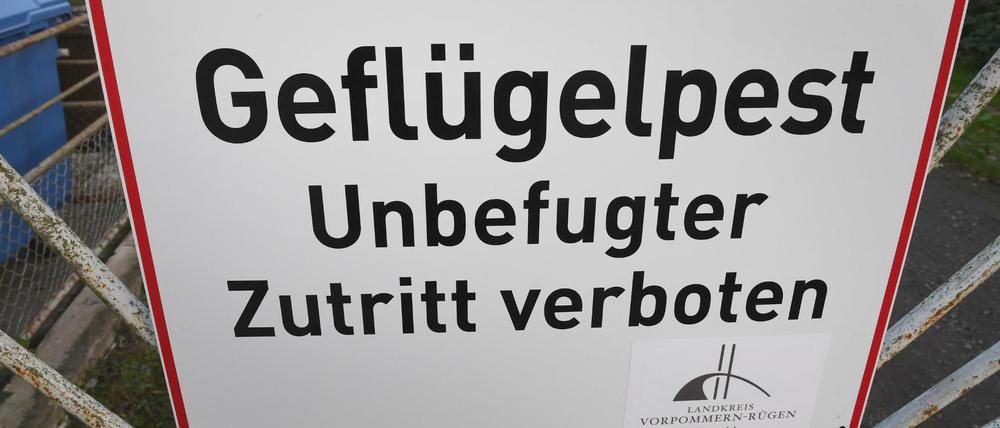Ein Schild mit dem Schriftzug „Geflügelpest“ hängt an einem Zaun eines Geflügelmastbetriebes.