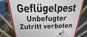 Ein Schild mit dem Schriftzug „Geflügelpest“ hängt an einem Zaun eines Geflügelmastbetriebes.