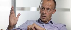 Ex-Unionsfraktionschef Friedrich Merz.