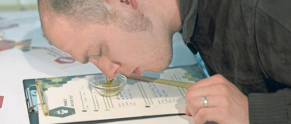 Amateurforscher untersuchen, ob sich das Schmecken verändern lässt.