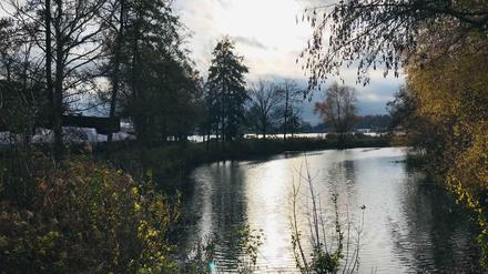 November 2020. Dieser See an der Scharfen Lanke - ist gar kein See. Sondern ein künstliches "Regenrückhaltebecken" aus dem Jahr 1965. 
