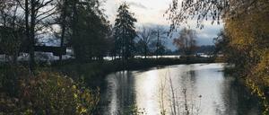 November 2020. Dieser See an der Scharfen Lanke - ist gar kein See. Sondern ein künstliches "Regenrückhaltebecken" aus dem Jahr 1965. 