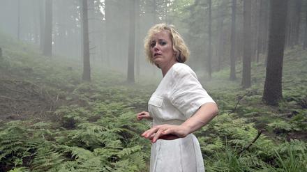Seine vermisste Schwester Barbara (Silke Bodenbender), wie sie durch den Wald rennt, offenbar vor etwas Beängstigendem flüchtet, verfolgt LKA-Chef Thomas Bethge auch Jahre später noch Nacht für Nacht. 