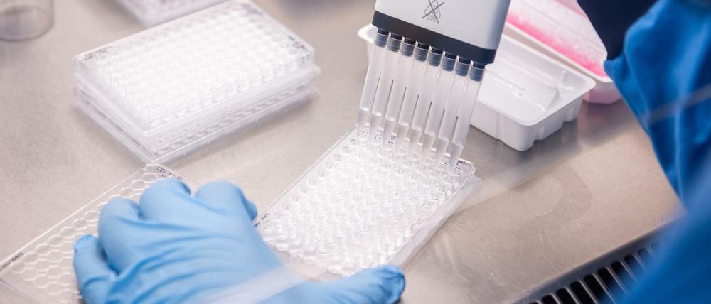 Forscher im Labor des Jenner-Instituts, der an dem von Astrazeneca und der Universität Oxford entwickelten Coronavirus-Impfstoff arbeitet.