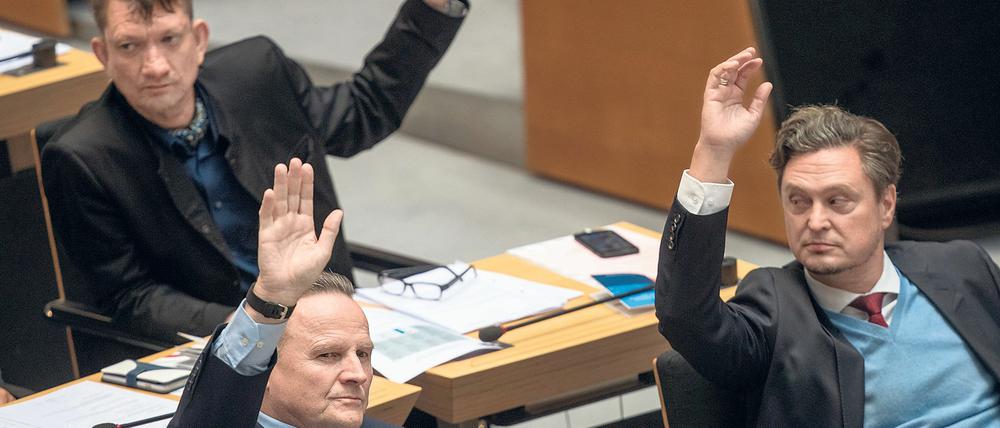 In der Kritik: Die Fraktionsspitze um Georg Pazderski (links) und Frank-Christian Hansel (rechts).