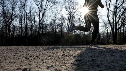 Im Grunewald trat eine Joggerin in eine Falle, eine Holzleiste mit Schrauben. (Symbolbild)