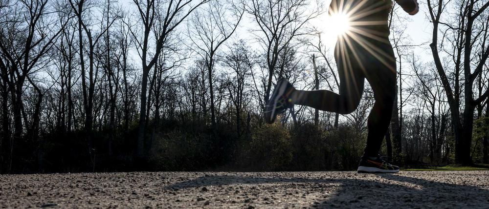 Im Grunewald trat eine Joggerin in eine Falle, eine Holzleiste mit Schrauben. (Symbolbild)