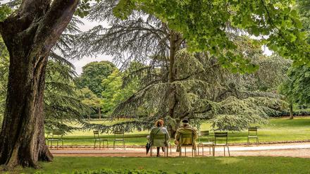 Perfekt für ein Picknick. Der Jardin du Luxembourg zwischen Saint-Germain-Des-Prés und Quartier Latin ist ein von Florenz inspirierter Gartentraum. Schloss, Apfelhain, Rosenzucht, Orangerie - alles da, was das Romantiker-Herz begehrt. Auch schon "Verliebt in Paris"?