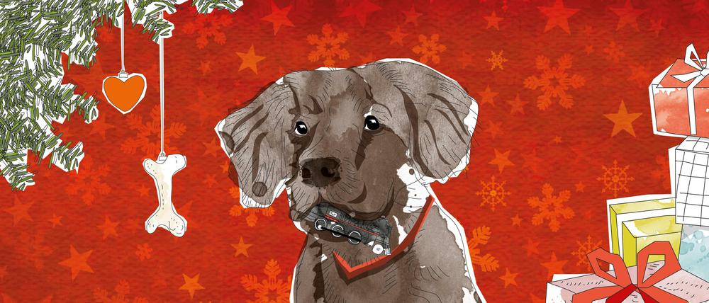 "Irgendwann haben wir uns versprochen, dass wir für immer zusammen Weihnachten feiern. Sonst kann von uns aus alles immer anders sein, Hauptsache zusammen."