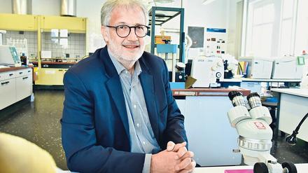 Trotz allem Optimist. Stefan Simon (Jahrgang 1962) ist Chemiker und seit 2005 Leiter des kunsttechnologischen Rathgen-Forschungslabors der Staatlichen Museen Berlin.