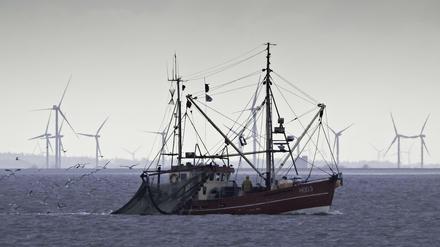 Offshore-Windparks sollen ausgebaut werden. Ihnen machen Schifffahrt, Fischerei, Bundeswehr, Rohstoffförderung und der Naturschutz den Platz streitig.