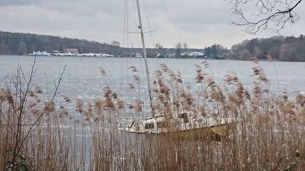 Dieses Foto machten Tagesspiegel-Leser 2020 vom Ufer. Im Hintergrund ist Insel Schwanwerder.