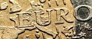 Der Euro soll mit der Reform krisenfester gemacht werden.
