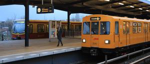 Der Bahnhof Wuhletal ist ein Unikat: Nirgends sonst in Berlin halten S- und U-Bahn am selben Bahnsteig. 