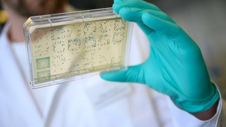 An den elf Zukunftsorten sitzen unter anderem auch Biotech-Firmen, die zu SARS-CoV-2 forschen und somit gegen die Ausbreitung des Coronavirus kämpfen.