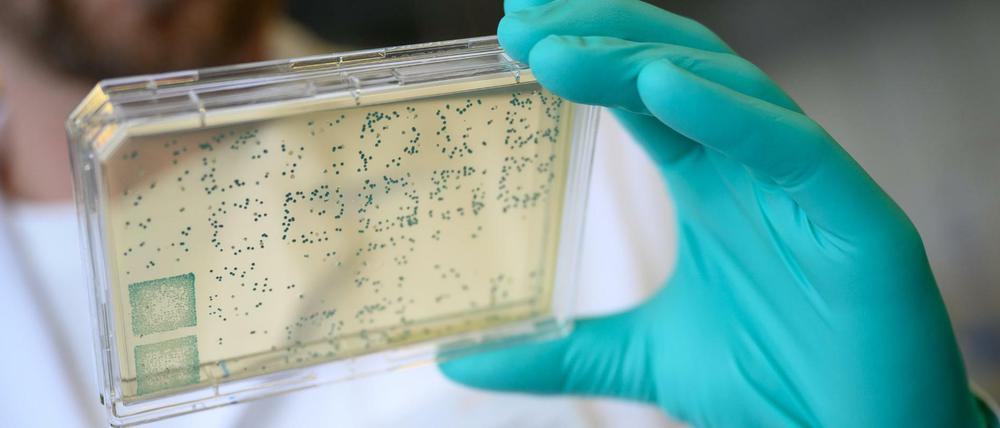 An den elf Zukunftsorten sitzen unter anderem auch Biotech-Firmen, die zu SARS-CoV-2 forschen und somit gegen die Ausbreitung des Coronavirus kämpfen.