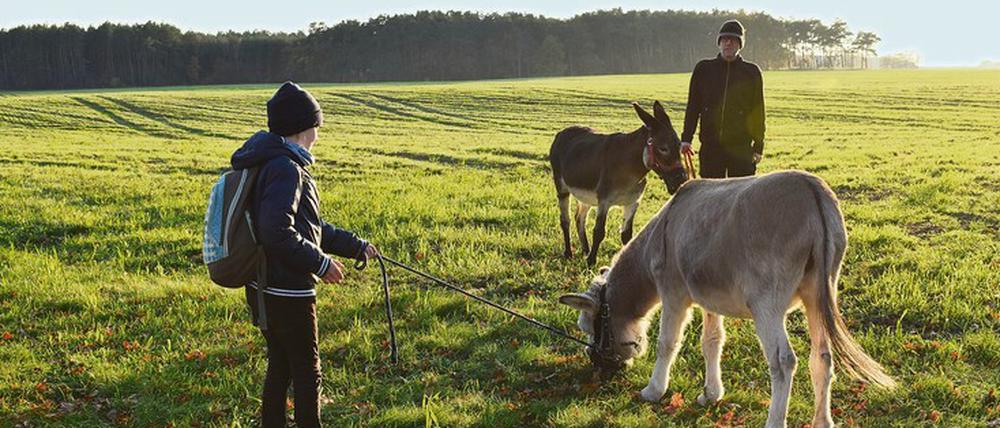 Die wichtigsten Befehle sind „Komm!“ und „Steh!“. Sagt man sie deutlich und mit Überzeugung, sind die Tiere nicht störrisch.