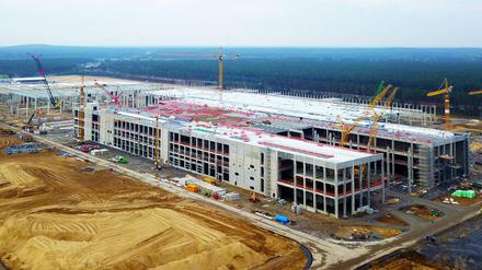 Rundum viel Grün: die Baustelle von Tesla im Oktober.