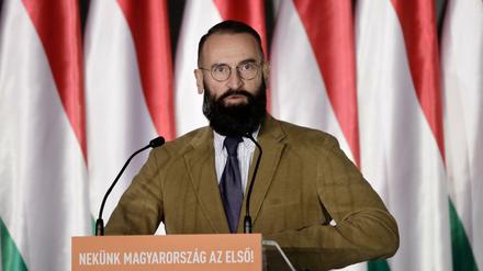 Joszef Szajer zieht sich aus dem EU-Parlament zurück.