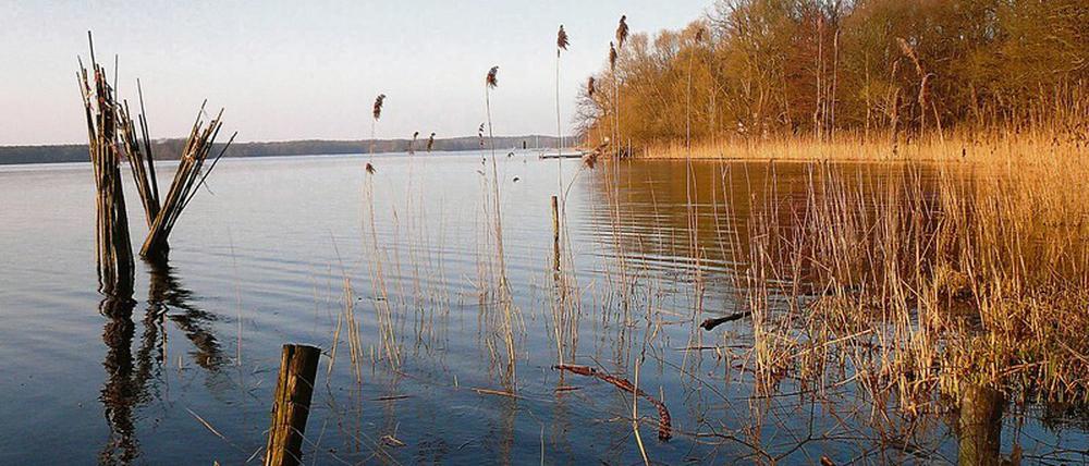 Rund um den Tegeler See. So heißt die die Radroute, die mit Hilfe der Fördergelder umgesetzt wurde. Coronabedingt allerdings ohne Feier. Das soll nachgeholt werden.