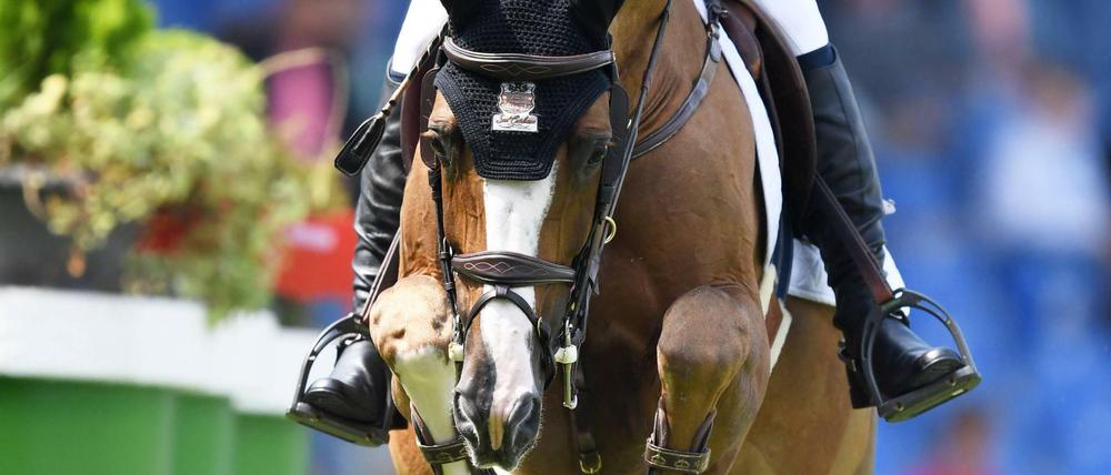 Firkov Du Rouet, hier geritten von Eric Lamaze, starb am Wochenende.