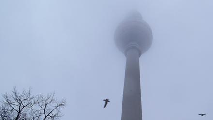 Vögel umkreisen den nebelverhangenen Fernsehturm in Berlin. 