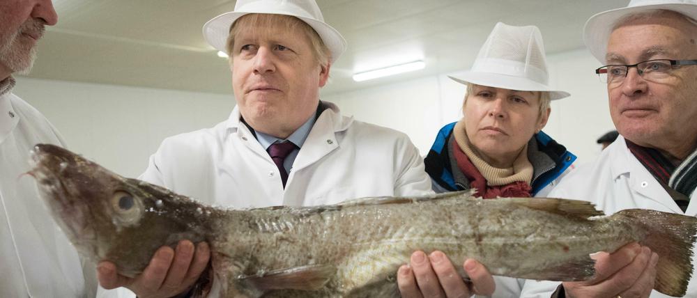 Für Boris Johnson ist es wichtig, dass die Fangrechte britischer Fischer in den eigenen Gewässern ausgeweitet werden.