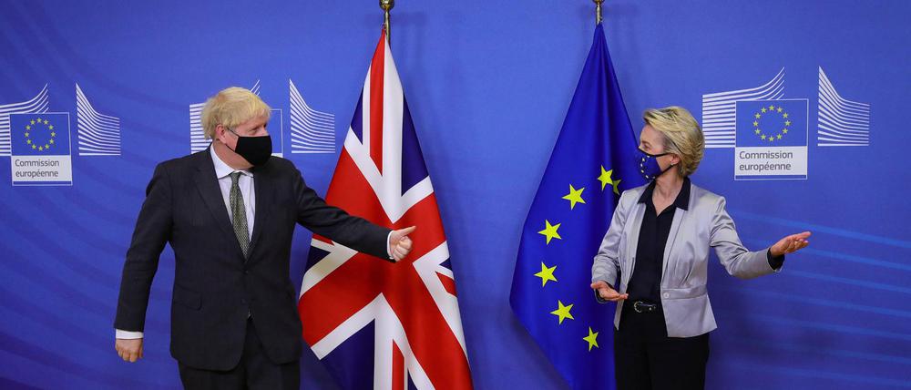 Auftritt mit Maske und Regeln: Ursula von der Leyen und Boris Johnson