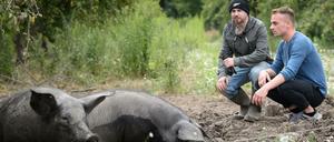 Koch Christoph Hauser (rechts) beim Potsdamer Schweinezüchter Clemens Strohmeyer.