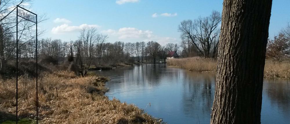 Mindestens acht Kubikmeter Wasser pro Sekunde soll die Spree von Südosten nach Berlin bringen. Das schafft sie seit Jahren nur noch selten.