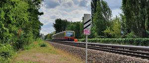 Hier soll die Trasse der NEB direkt auf Höhe der S-Bahn geführt werden. Hinten der S-Bahnhof Wilhelmsruh.