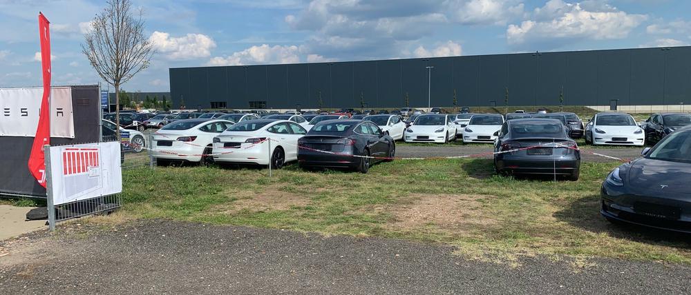 Tesla auf dem Wiesengrundstück in Berlin-Bohnsdorf, aufgenommen im September 2020. Mittlerweile liefert der Hersteller auch in einem Parkhaus aus.