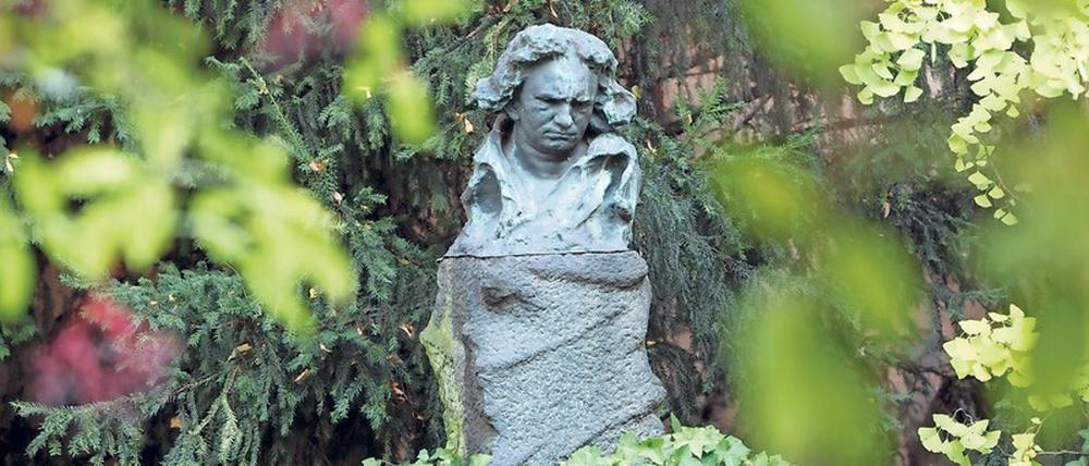 Beethoven war ein Großstadtmensch, der aber auch Ausflüge in die Natur zu schätzen wusste.