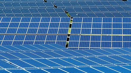 Nicht nur die grüne Wiese, sondern auch Neuköllns Dächer sollen bald Solarpanels bedecken.