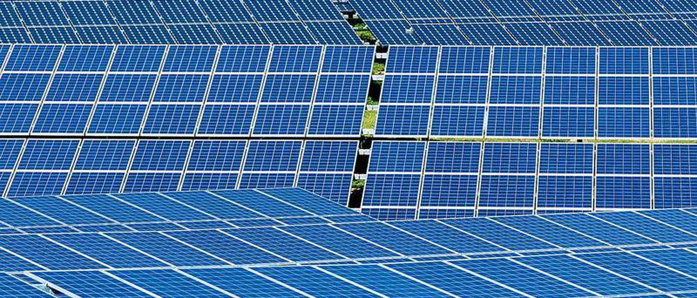 Nicht nur die grüne Wiese, sondern auch Neuköllns Dächer sollen bald Solarpanels bedecken.