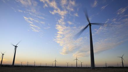 Zur von den Grünen geforderten Gemeinwohlorientierung in der Wirtschaft gehören Anreize für CO2-sparendes Wirtschaften.