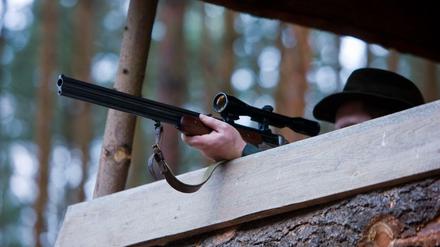 Ein Jäger auf einem Hochstand zielt mit seinem Gewehr unweit von Briesen (Oder-Spree).