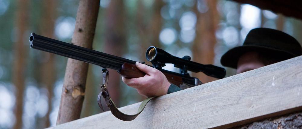 Ein Jäger auf einem Hochstand zielt mit seinem Gewehr unweit von Briesen (Oder-Spree).