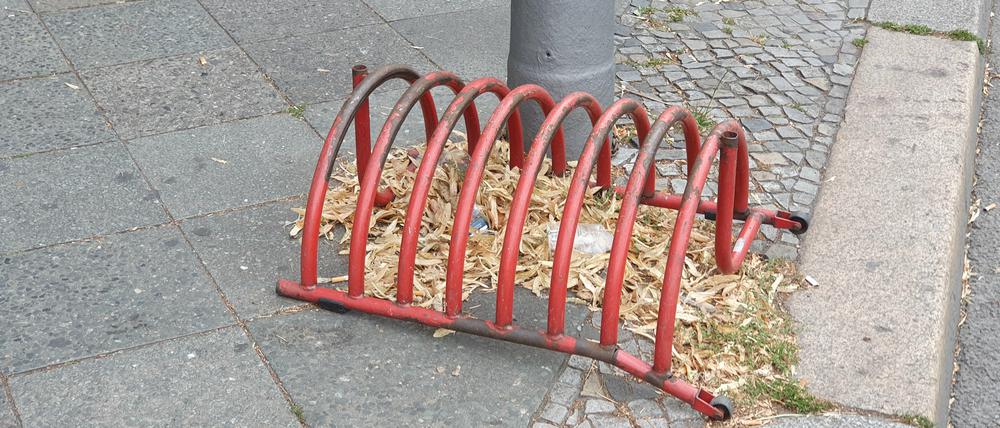 Radfahrer haben für diese Konstruktion einen Namen: Felgenknicker. Wer sein Vorderrad ruinieren möchte, dies ist die Gelegenheit.