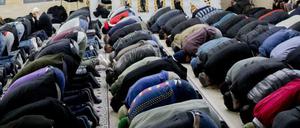 Gläubige beten beim Freitagsgebet