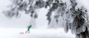 Ein Schlittenberg (Symboldbild).