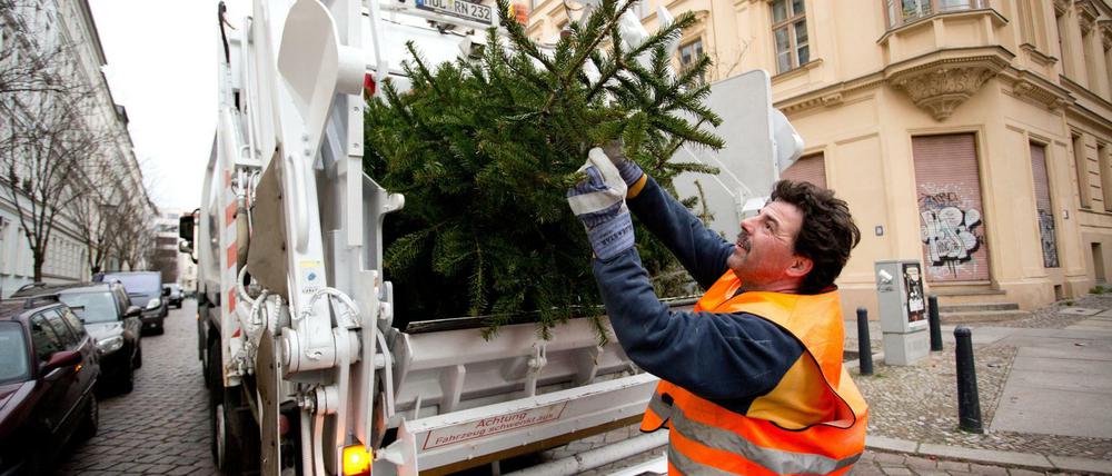 Draußen viel Tännchen: Ab Donnerstag holt die BSR die Weihnachtsbäume ab.