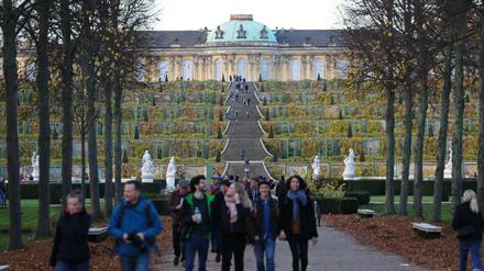 Das Schloss Sanssouci, Park Sanssouci im November 2020. Dutzende Scheiben der darunterliegenden Weinbergterrassen wurden zerstört.