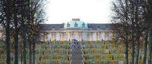 Das Schloss Sanssouci, Park Sanssouci im November 2020. Dutzende Scheiben der darunterliegenden Weinbergterrassen wurden zerstört.